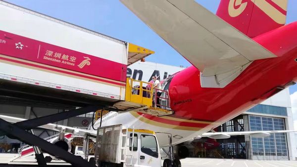 抗击疫情保供电新闻报道,保疫情保民生保运转