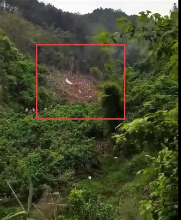 东航波音737飞机坠落原因,东航一架波音737坠毁最新消息