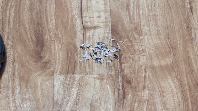 石头g10s机器人如何清洁基站,扫地机器人石头g10s基站自清洁刷