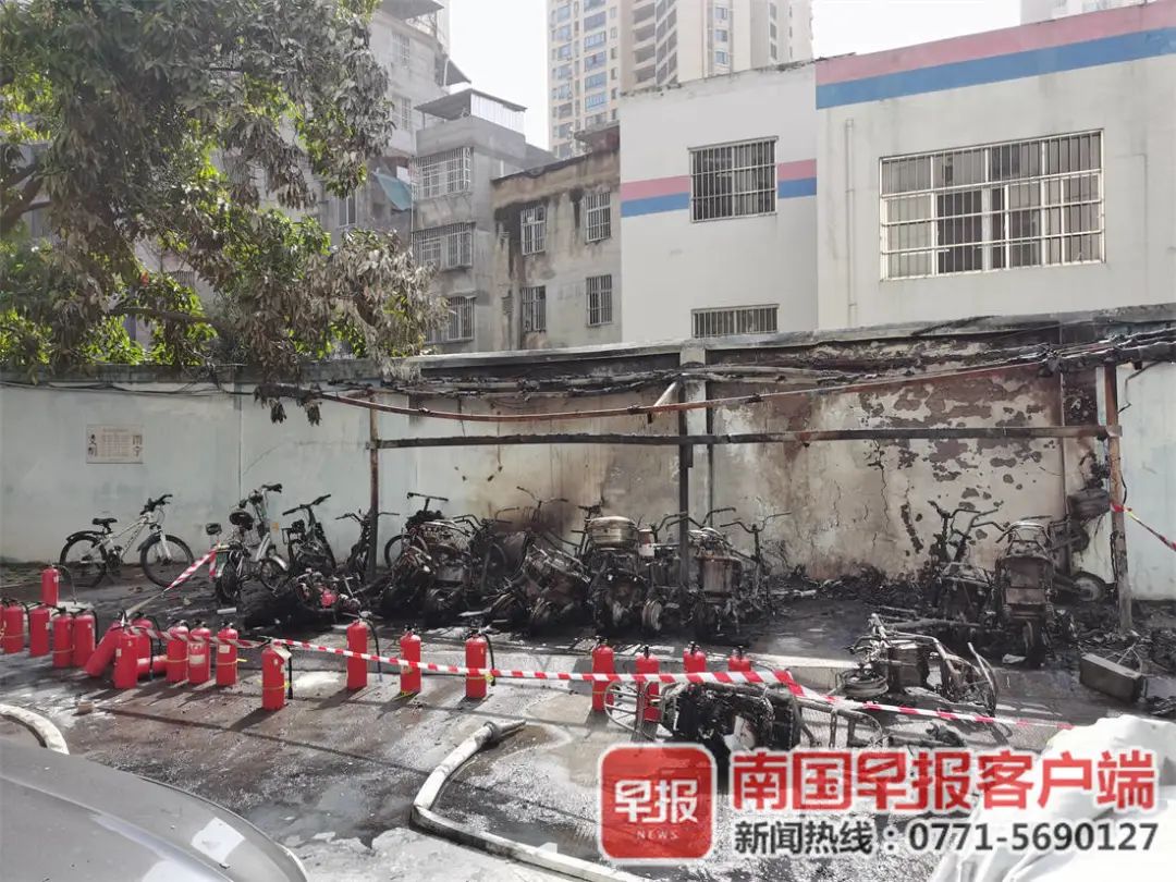 交通违法实时通知,最新交通违法曝光