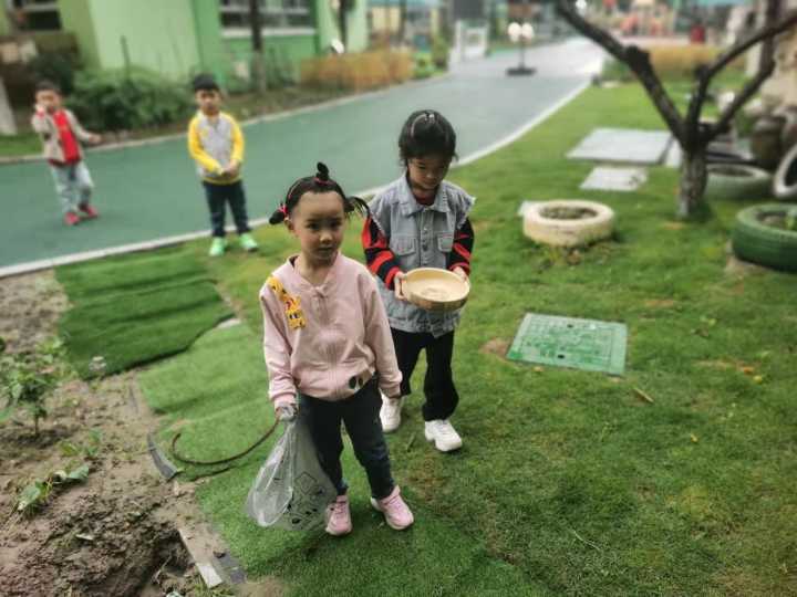 当班级里来了两只鸡……这群孩子不仅孵了蛋，赚了钱，还进行了生命教育