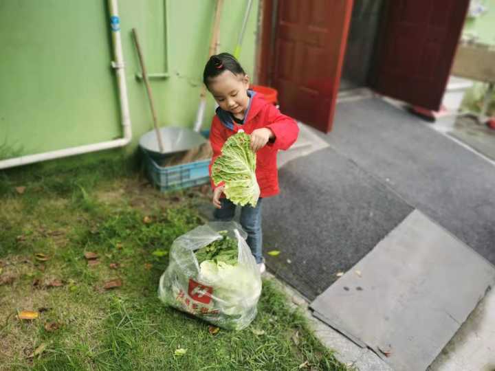 当班级里来了两只鸡……这群孩子不仅孵了蛋，赚了钱，还进行了生命教育