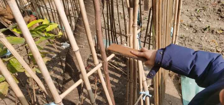 当班级里来了两只鸡……这群孩子不仅孵了蛋，赚了钱，还进行了生命教育