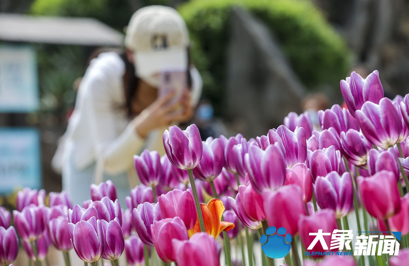 后疫情时代旅游业如何重启,旅游业应该如何应对微度假