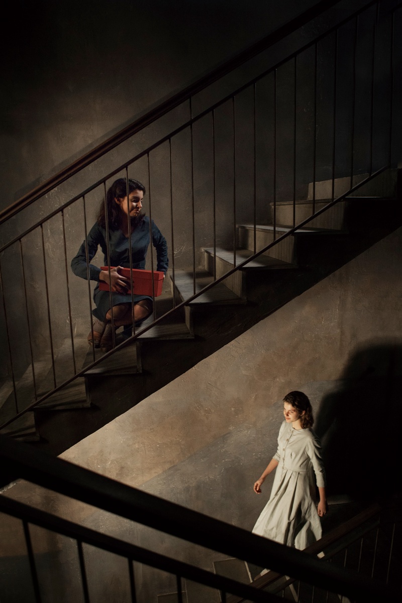 我的天才女友埃莱娜费兰特,费兰特女友