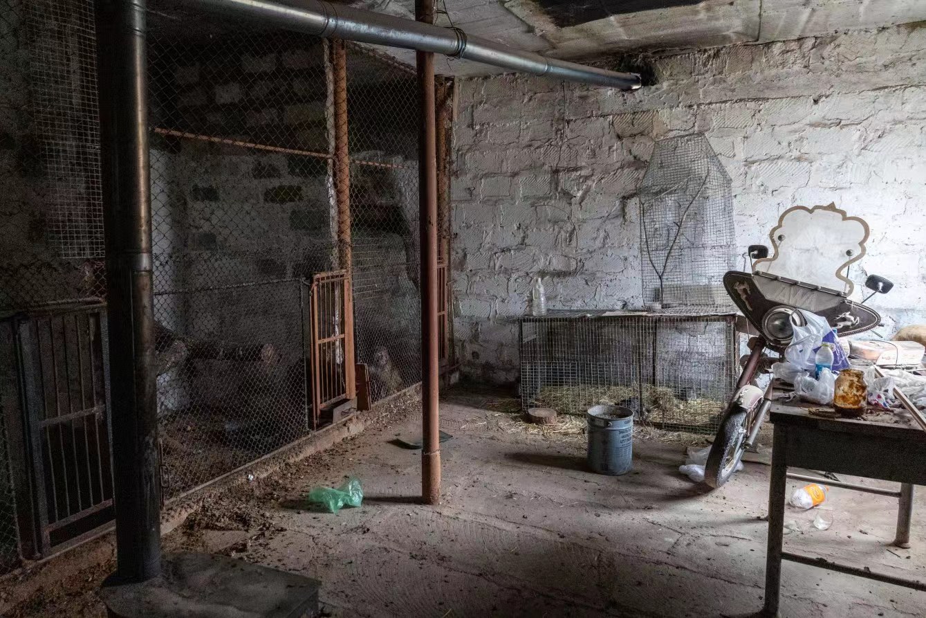 盲熊被困铁笼30年，猴子老鹰状况凄惨，亚美尼亚一动物园被除名