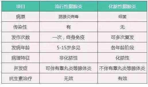 腮帮子疼了一阵,有一种痛叫肩膀痛