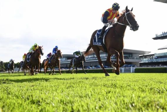 世界名贵马匹排行榜前十名,世界最高评分赛马马匹排名