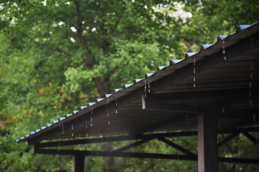 经典描写谷雨节气的诗句,10首谷雨诗词留住最后一抹春