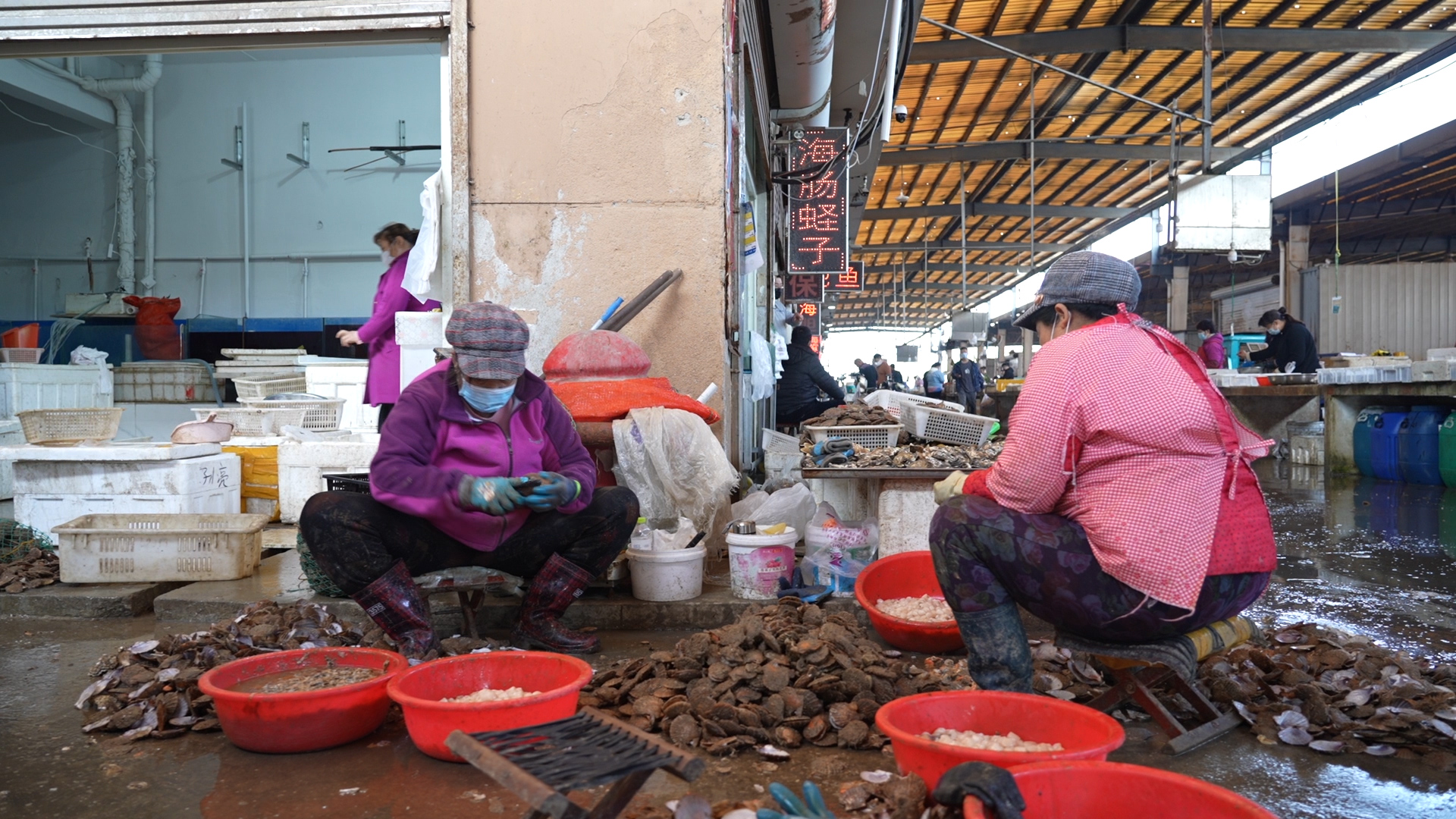 五一这个季节适合吃海鲜吗,五一是吃什么海鲜的季节