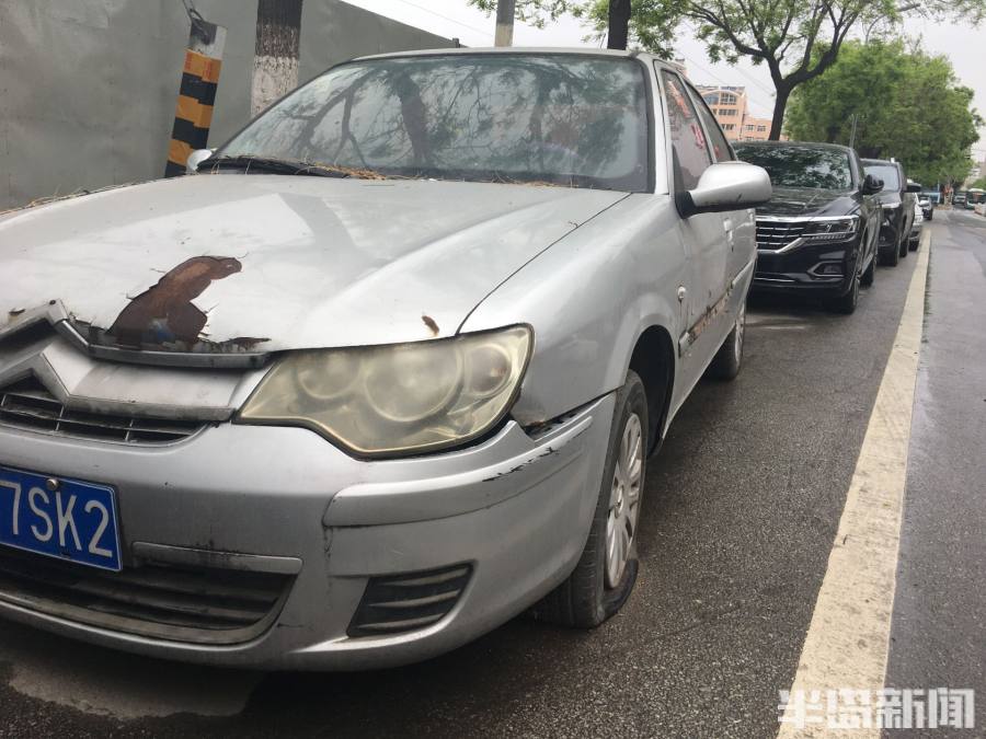 半岛调查,半岛记者探访岛城