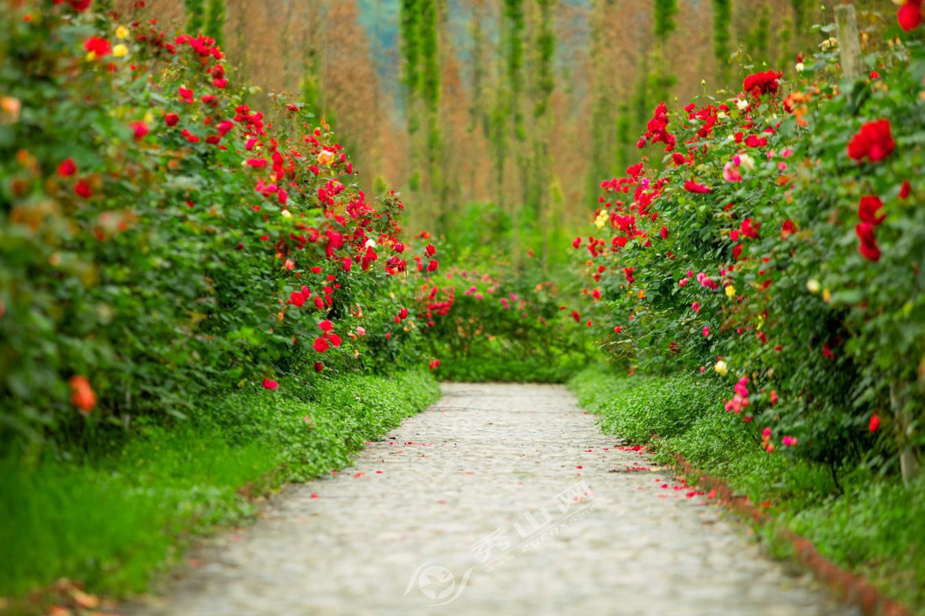 秀山周末旅游攻略图片大全,秀山旅游一日游