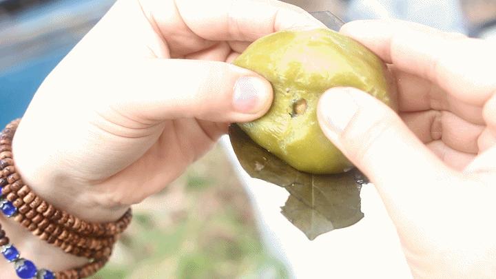 印象海棠湾,三亚海棠湾南海印象