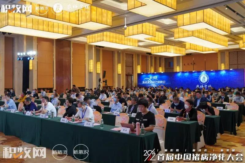 王声会：头均效益提高6376元！中芯种业蓝耳病净化体系详解