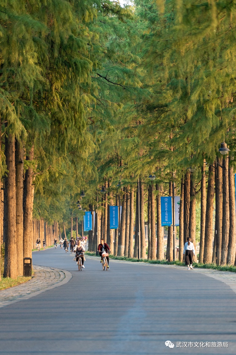 武汉必玩攻略,武汉必玩的地方排行榜