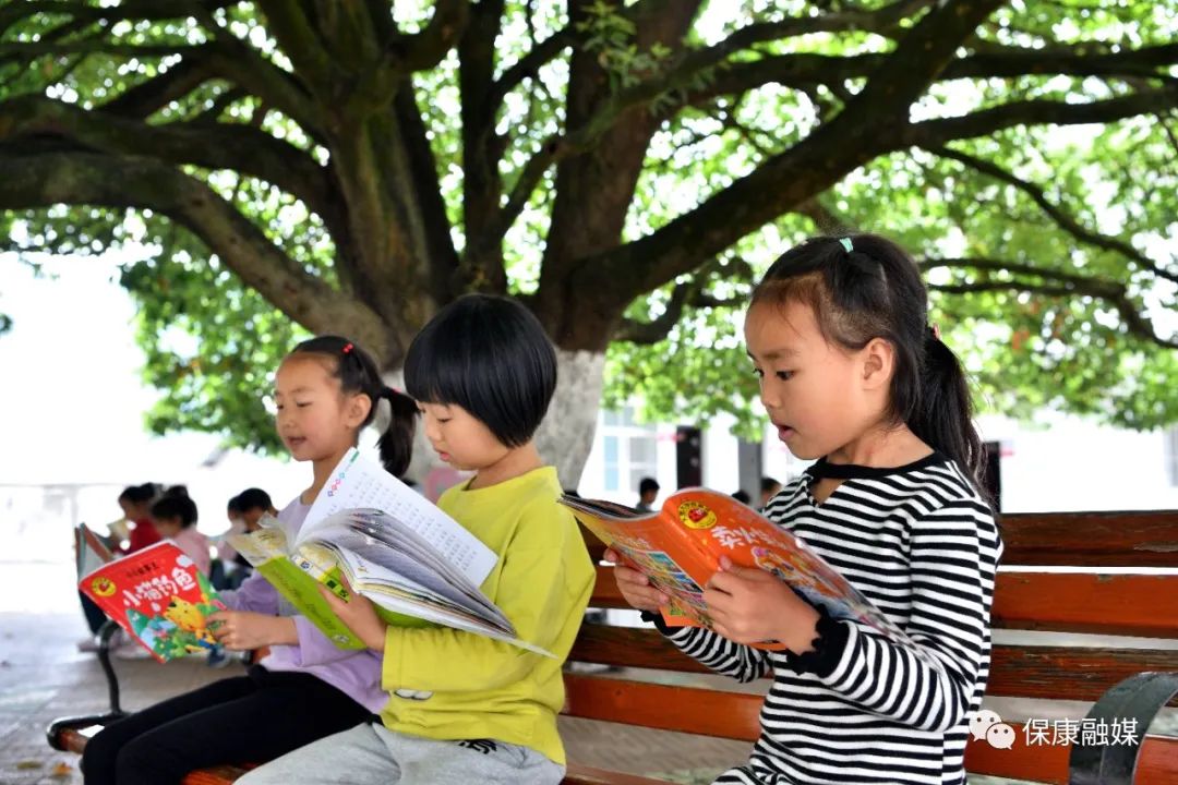 马桥镇中坪小学！不仅书声琅琅，还闻樟树飘香……
