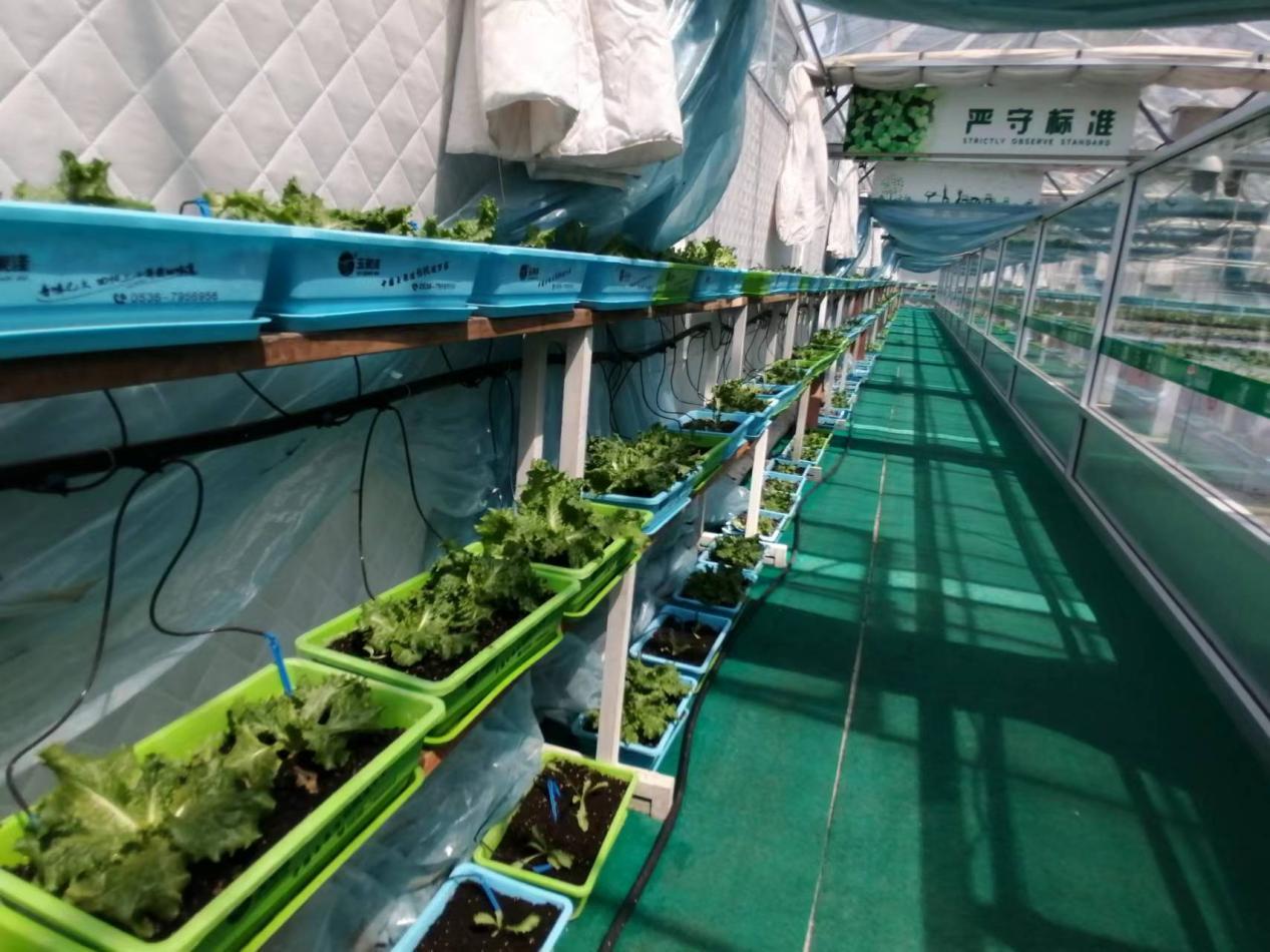 从空壳村到亿元村,从空心到振兴的蝶变之源