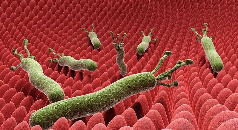 骞介棬铻烘棆鏉嗚弻鍙互闄嶄綆鑳冪檶椋庨櫓,鏍归櫎骞介棬铻烘潌鑿岃兘闄嶄綆鑳冪檶椋庨櫓