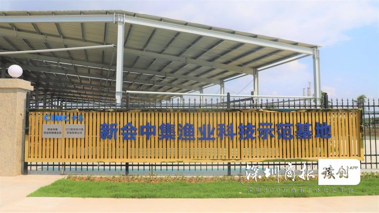 双循环养殖新模式,水循环养鱼高产技术