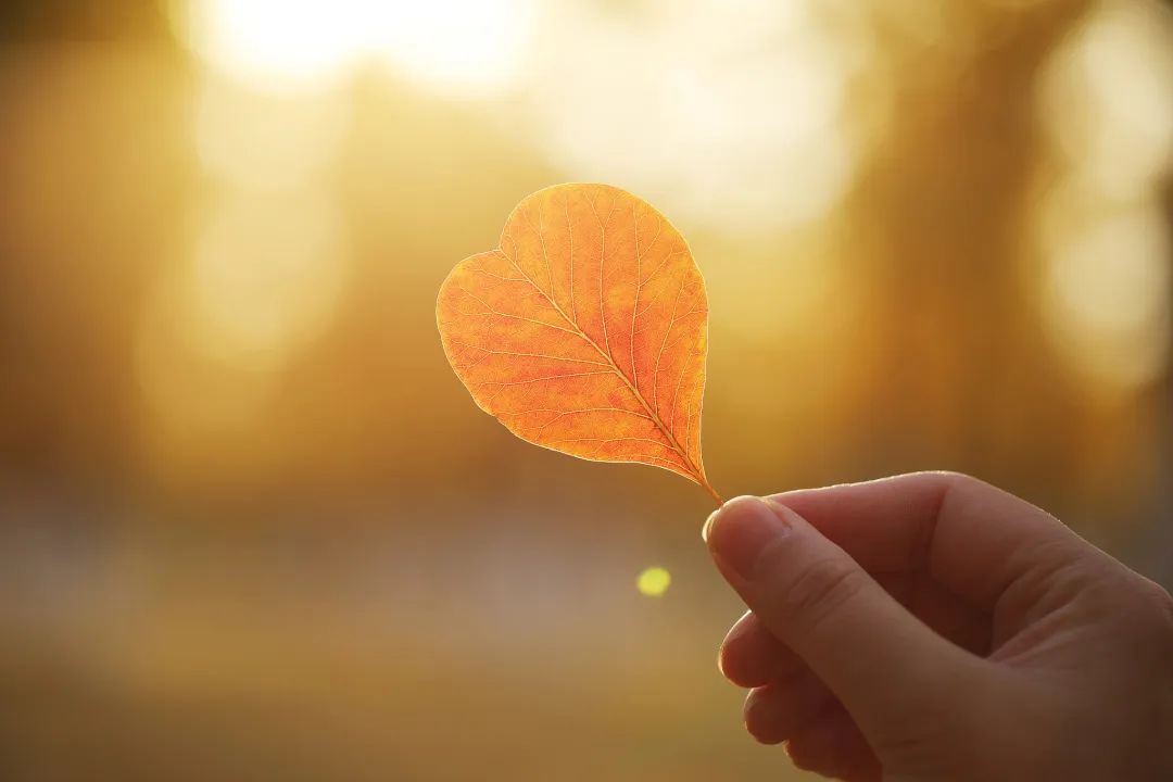 老俞闲话命运,老俞闲话是什么时间才开始的