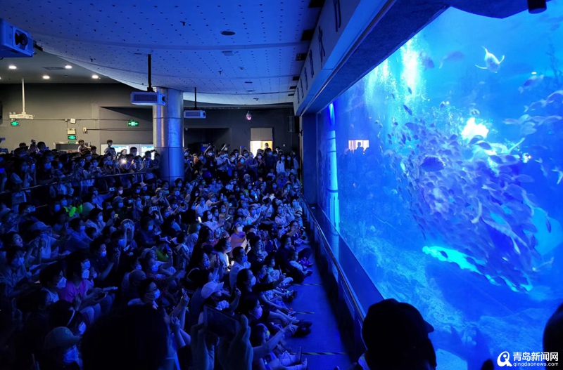 青岛a级景区免门票游玩攻略,青岛极地海洋世界免票政策