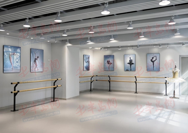 楂樿川閲忕殑鍥湰鏁欏鐮斾慨娲诲姩,浼樿川鍥湰璇剧▼