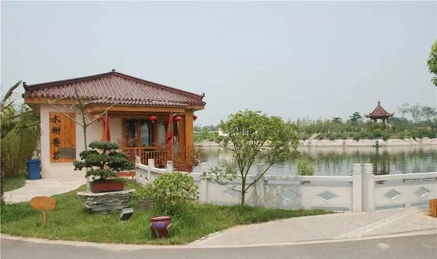 高薪养老行业骗局,高端养老是骗局吗