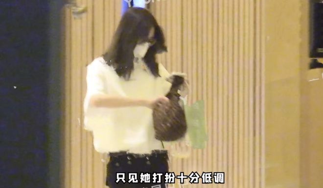 刘雯被拍到现身井柏然酒店俩人曾疑似被网友偶遇