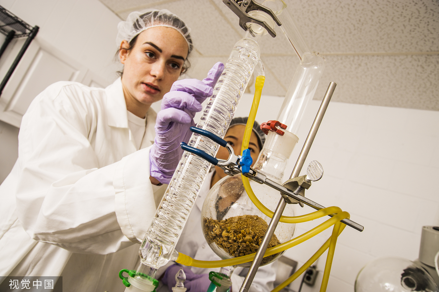 口红修复多少钱一次,在家修复口红多少钱