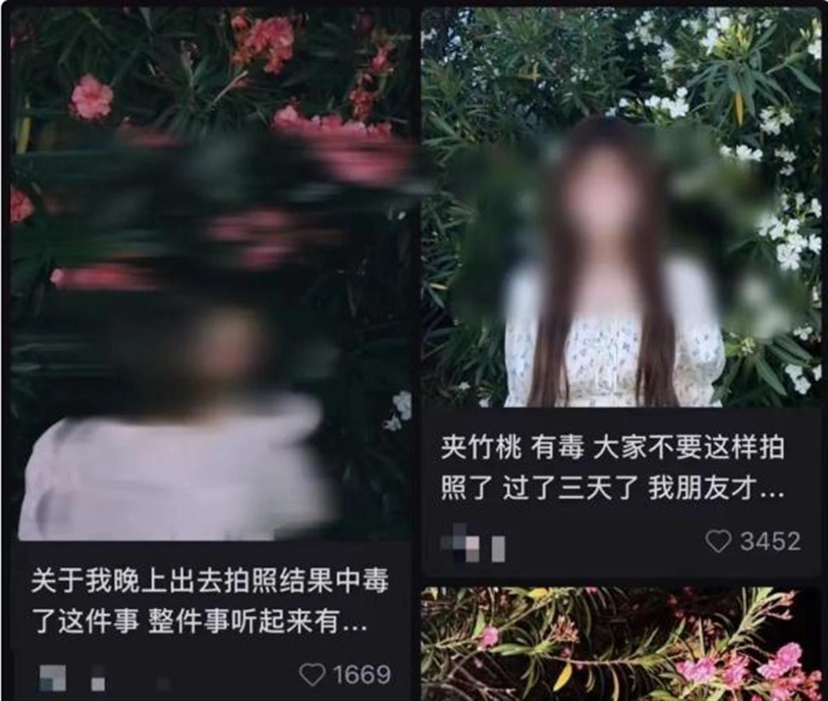 女孩口含夹竹桃拍照中毒后续,女孩嘴夹竹桃拍照后中毒送医