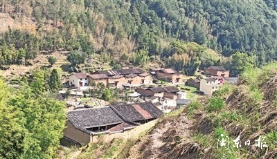 知乎者也丨莫沽：春风又绿罗垱湾