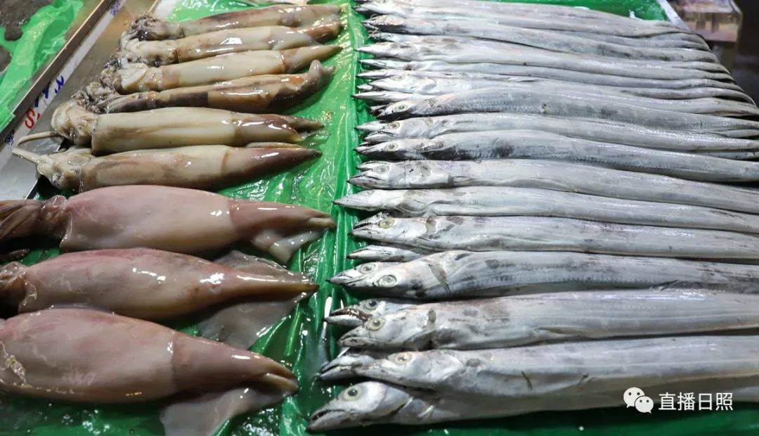 日照现在海鲜价,日照2019海鲜价格表