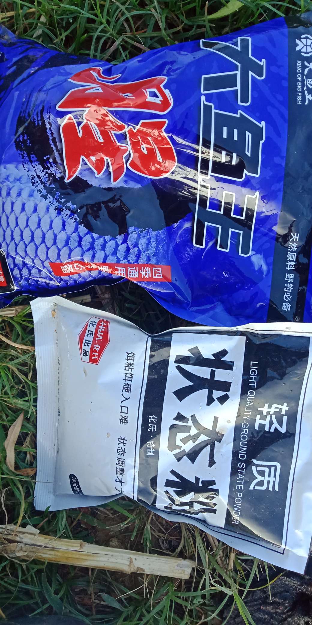 浑身亮甲如新衣，一生靓仔它美气