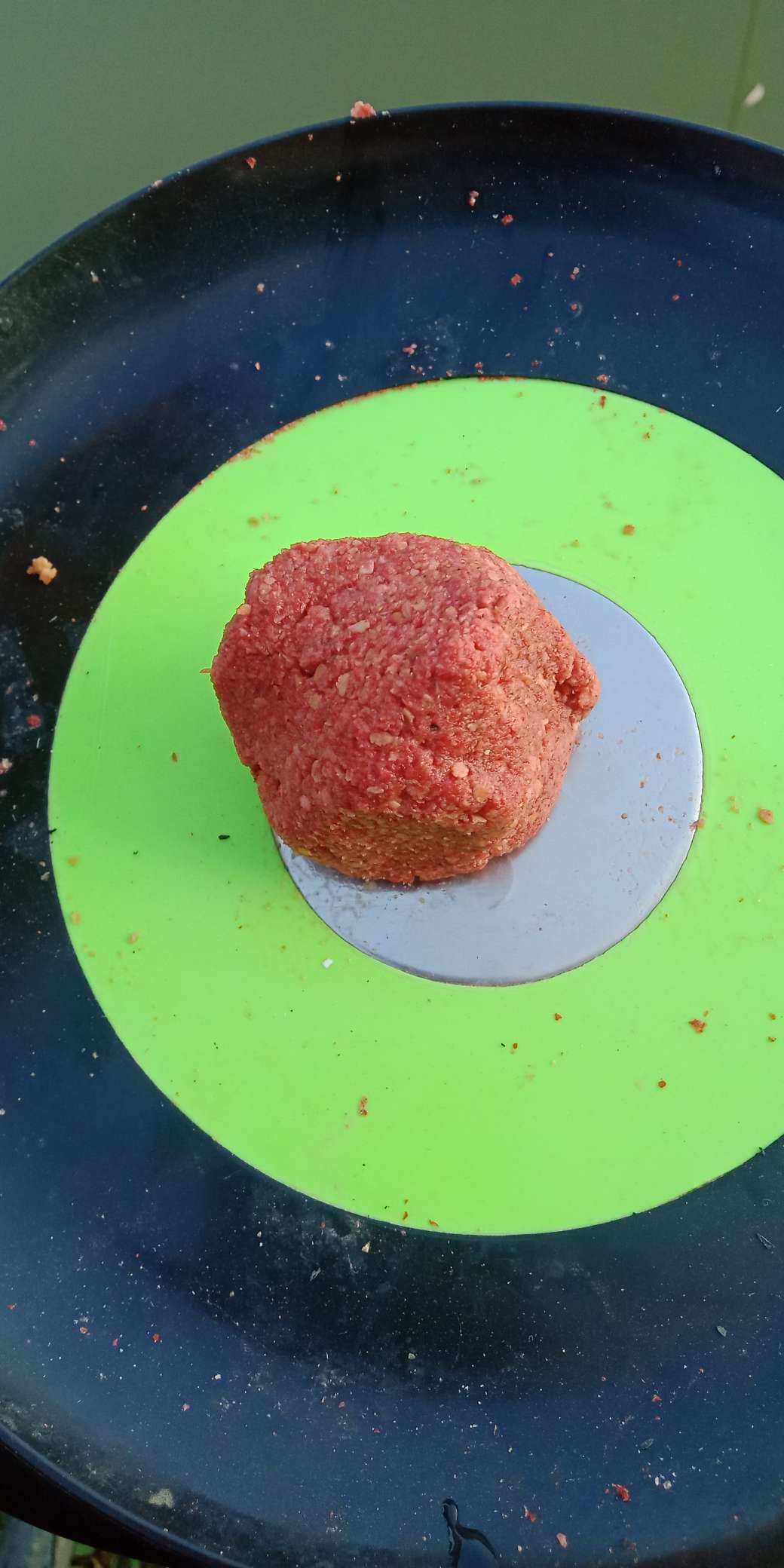 浑身亮甲如新衣，一生靓仔它美气