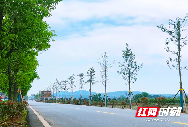 衡东县美丽乡村建设,城镇面貌焕然一新图片
