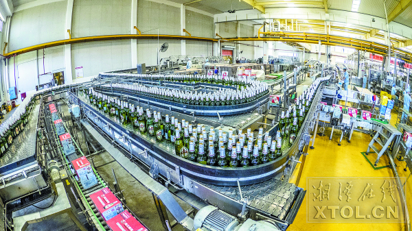 珠江啤酒分享,推荐啤酒珠江啤酒