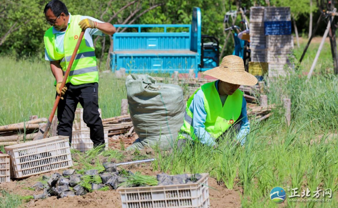 漫步城中,漫步草原美景