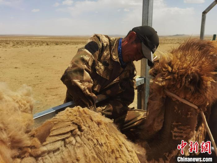 「十年@每一个奋斗的你」“梭梭书记”永红：1.5万平方公里“生命禁区”的守护者