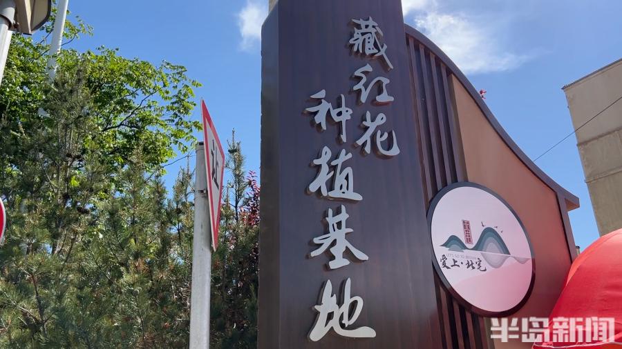 松下问童子言师采药去书法落款,松下问童子言师采药去采的什么药