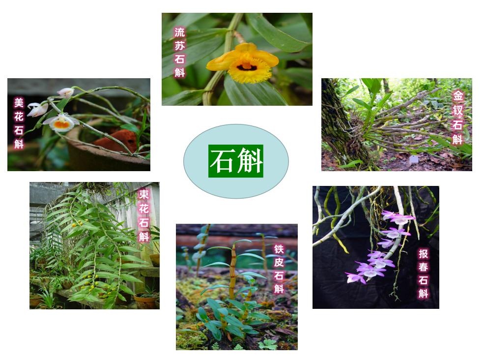 杩欏懗涓嵂璁╀綘鐫″緱鏇撮,涓嵂閱嶉啇鐏岄《