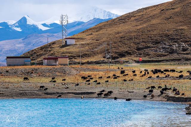 西藏骑行历险记,西藏骑行day1