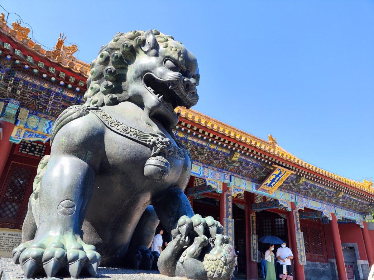 灏忕背12sultra鎷嶇収鍘绘帀灏忕背logo,灏忕背灏忕背12sultra璇勬祴