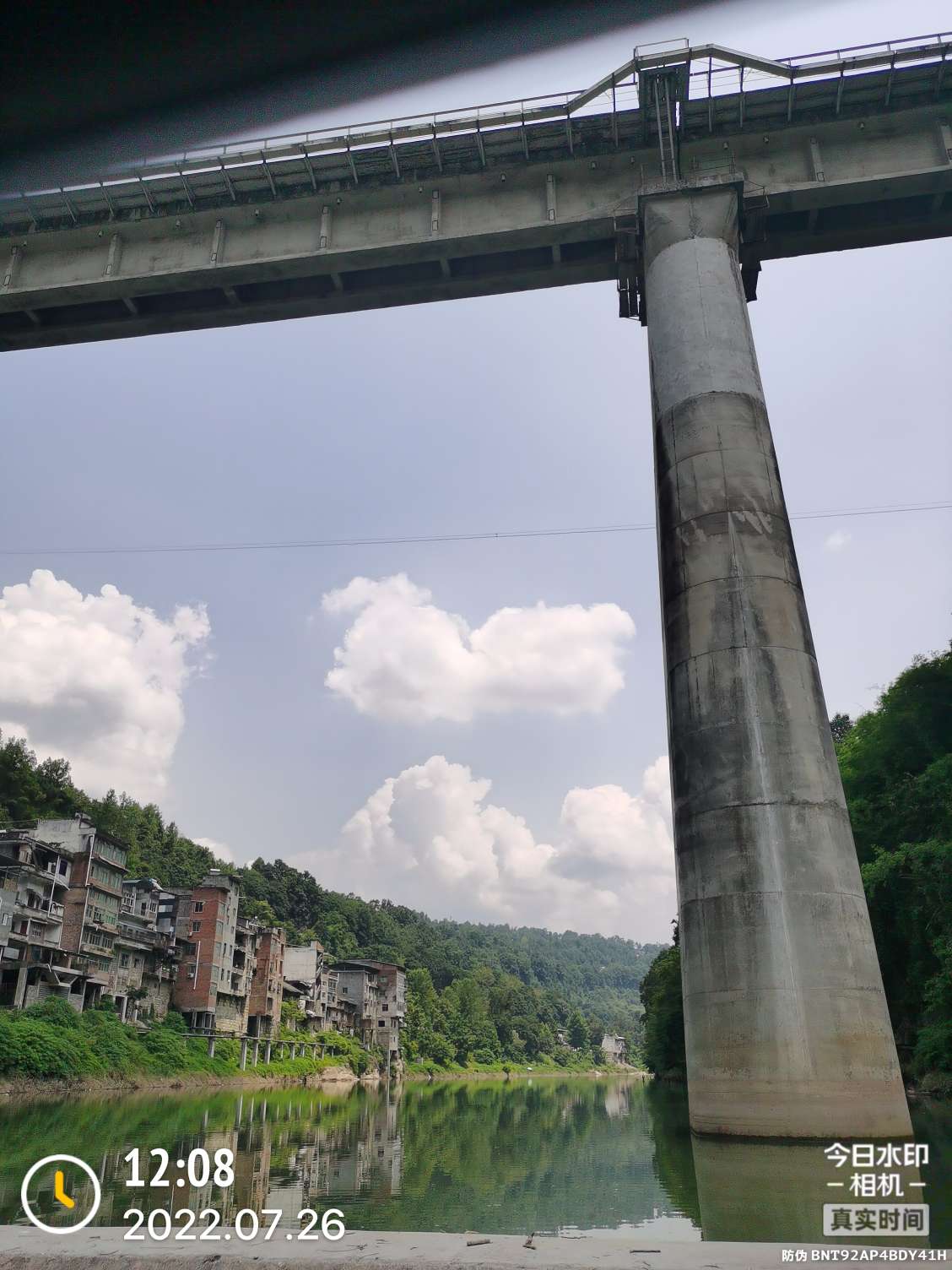「七月鱼获」骗最憨的巨草！上最憨的洋当