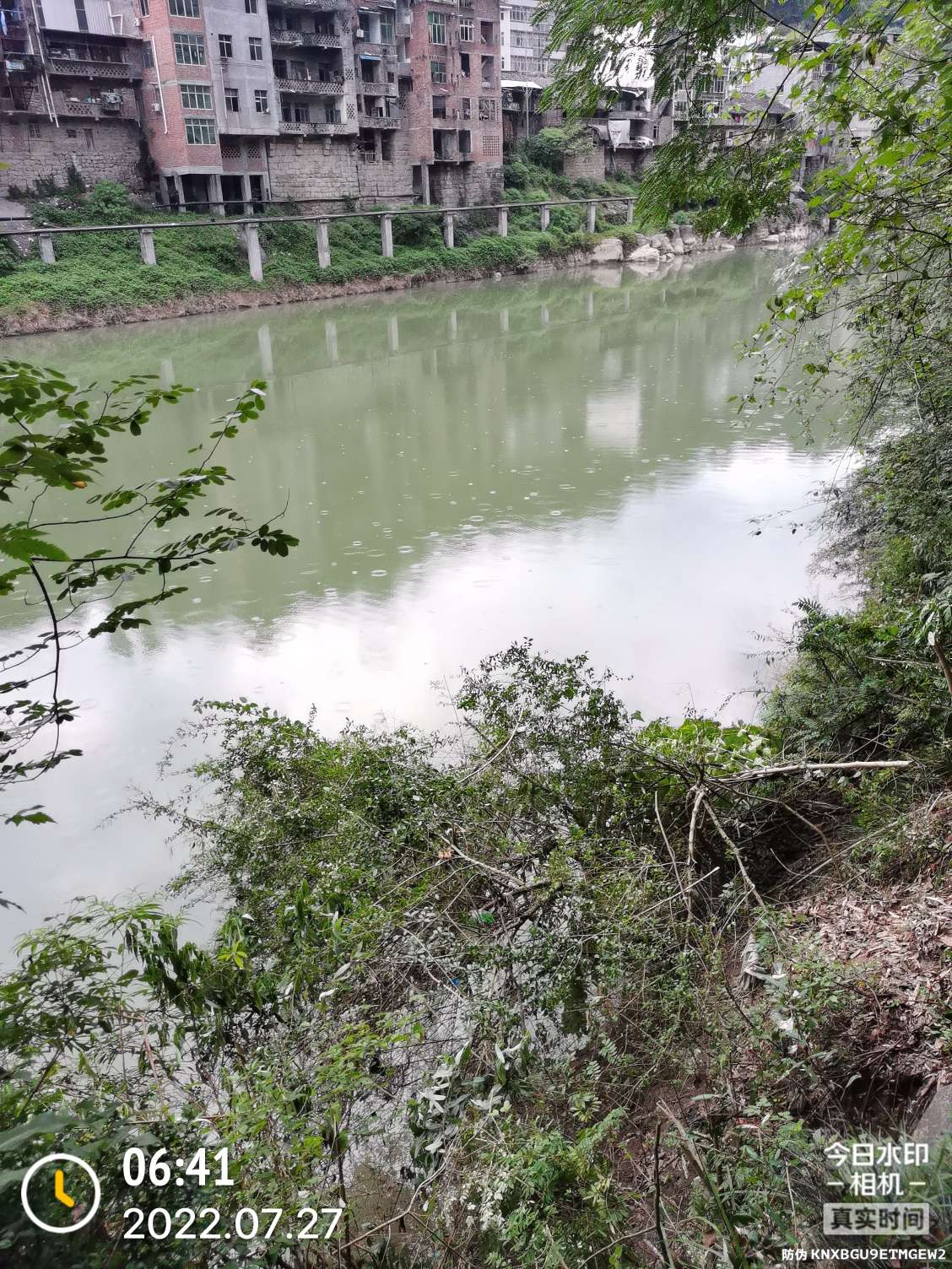 「七月鱼获」骗最憨的巨草！上最憨的洋当