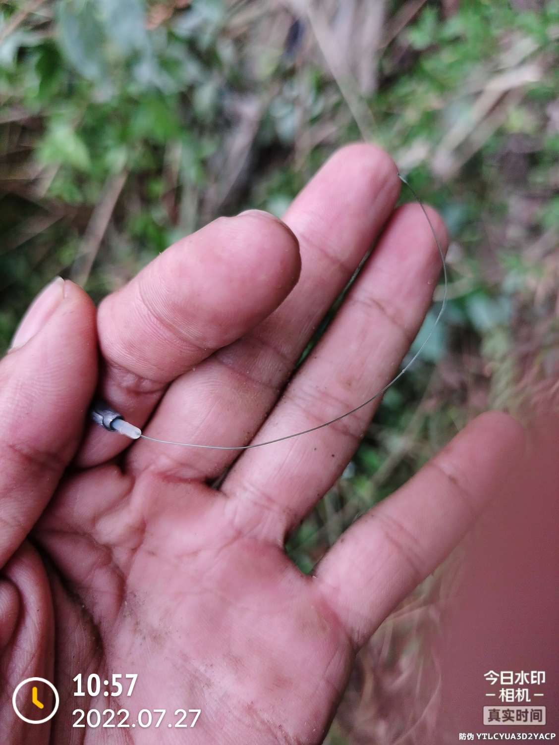 「七月鱼获」骗最憨的巨草！上最憨的洋当