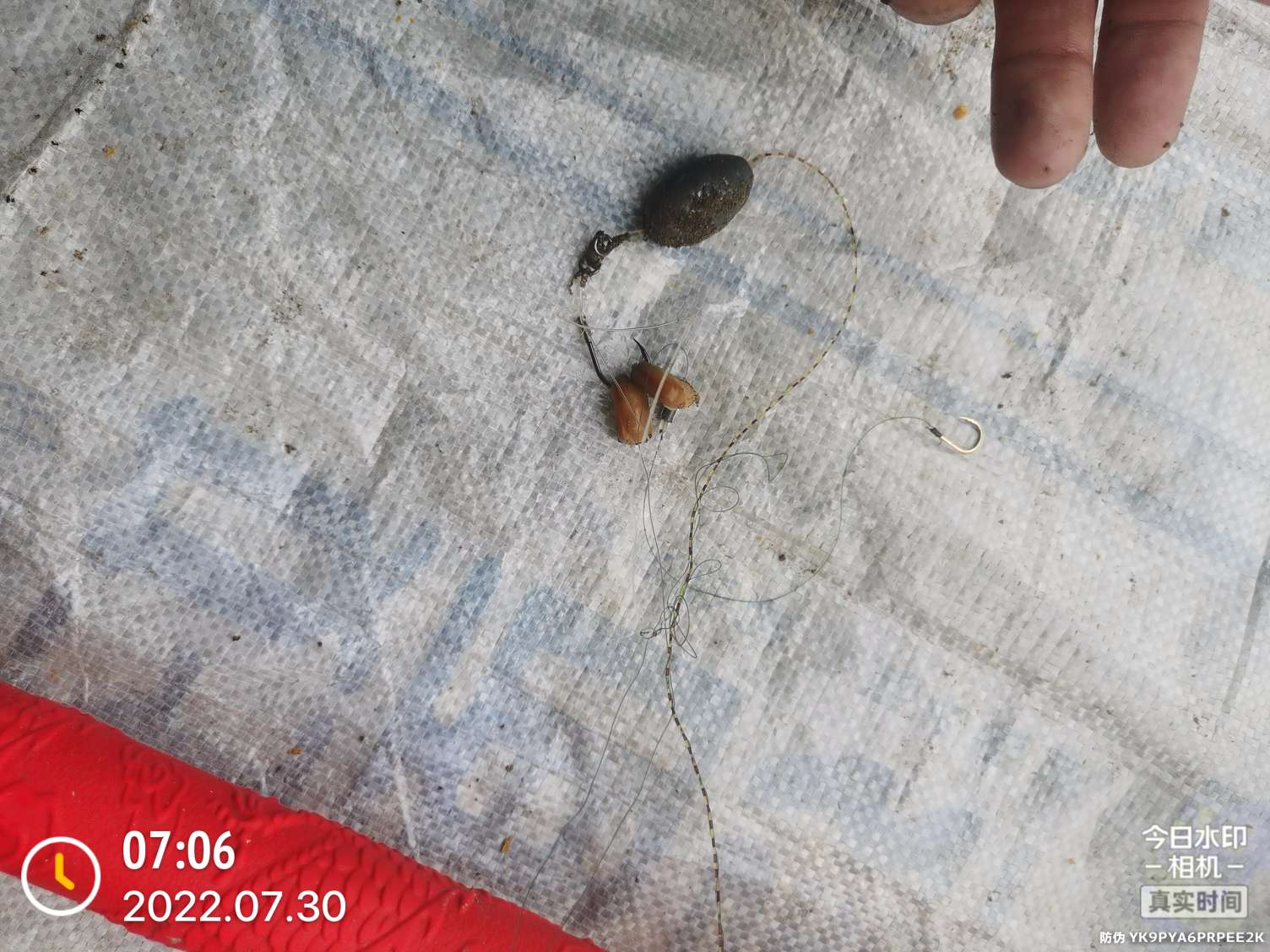 「七月鱼获」骗最憨的巨草！上最憨的洋当