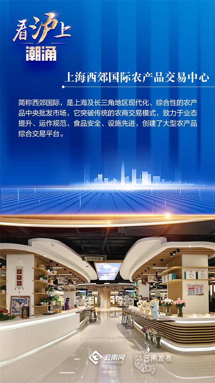 向上海学什么,向沪苏浙学什么