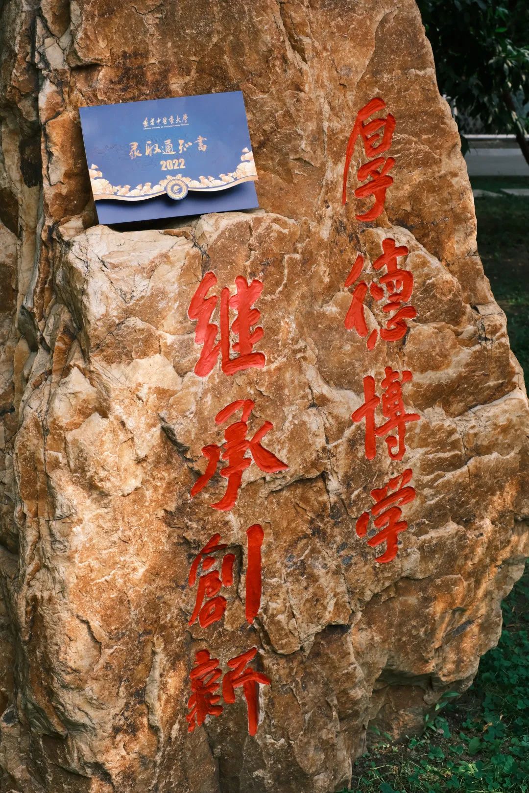 沈阳大学录取通知书啥时候发放啊,沈阳师范大学录取通知书网上查询