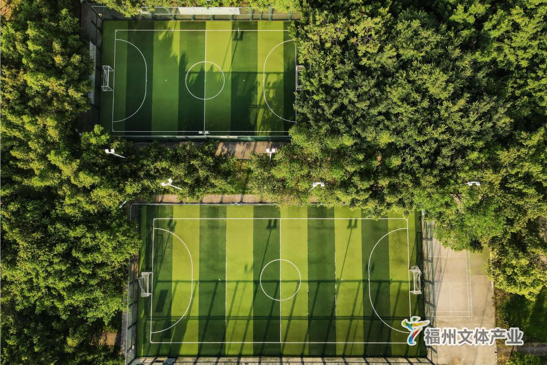 最新福州这些场所恢复开放,福州体育场免费开放