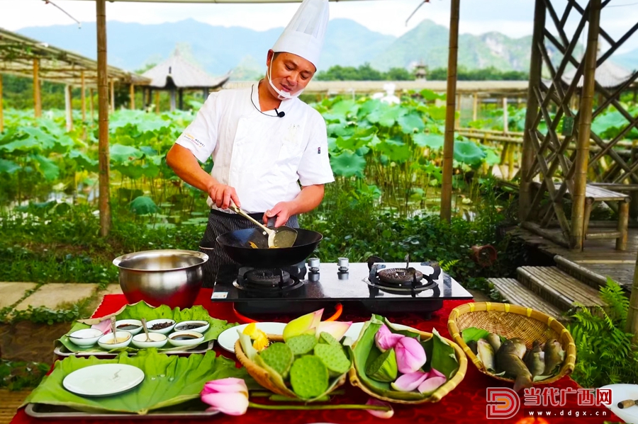 鱼藕共生优缺点,鱼藕共生生态养殖